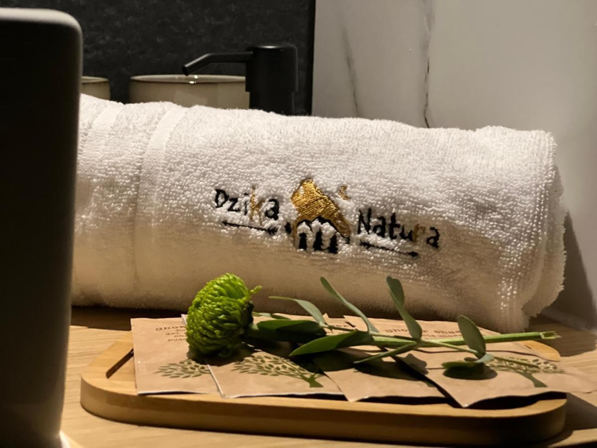 Dzika Natura Apartment