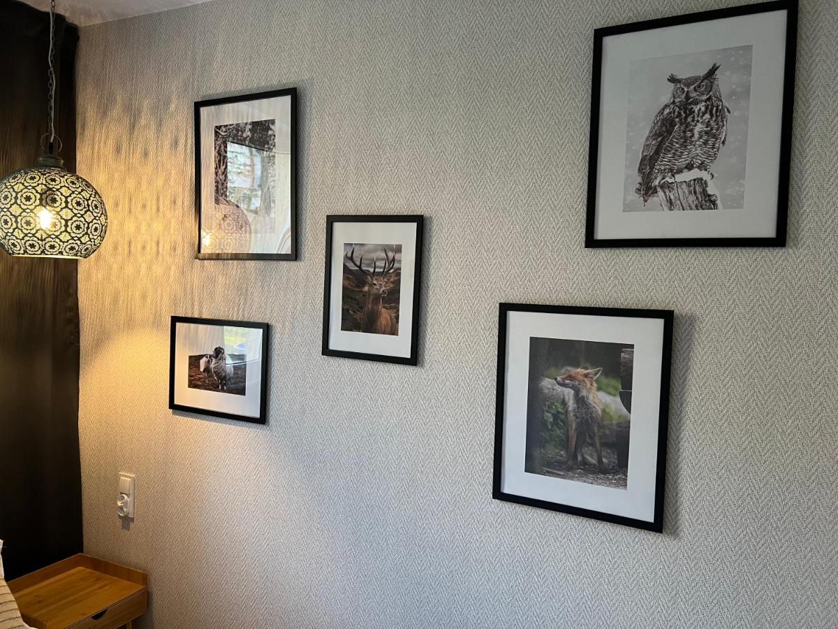 Dzika Natura Apartment *