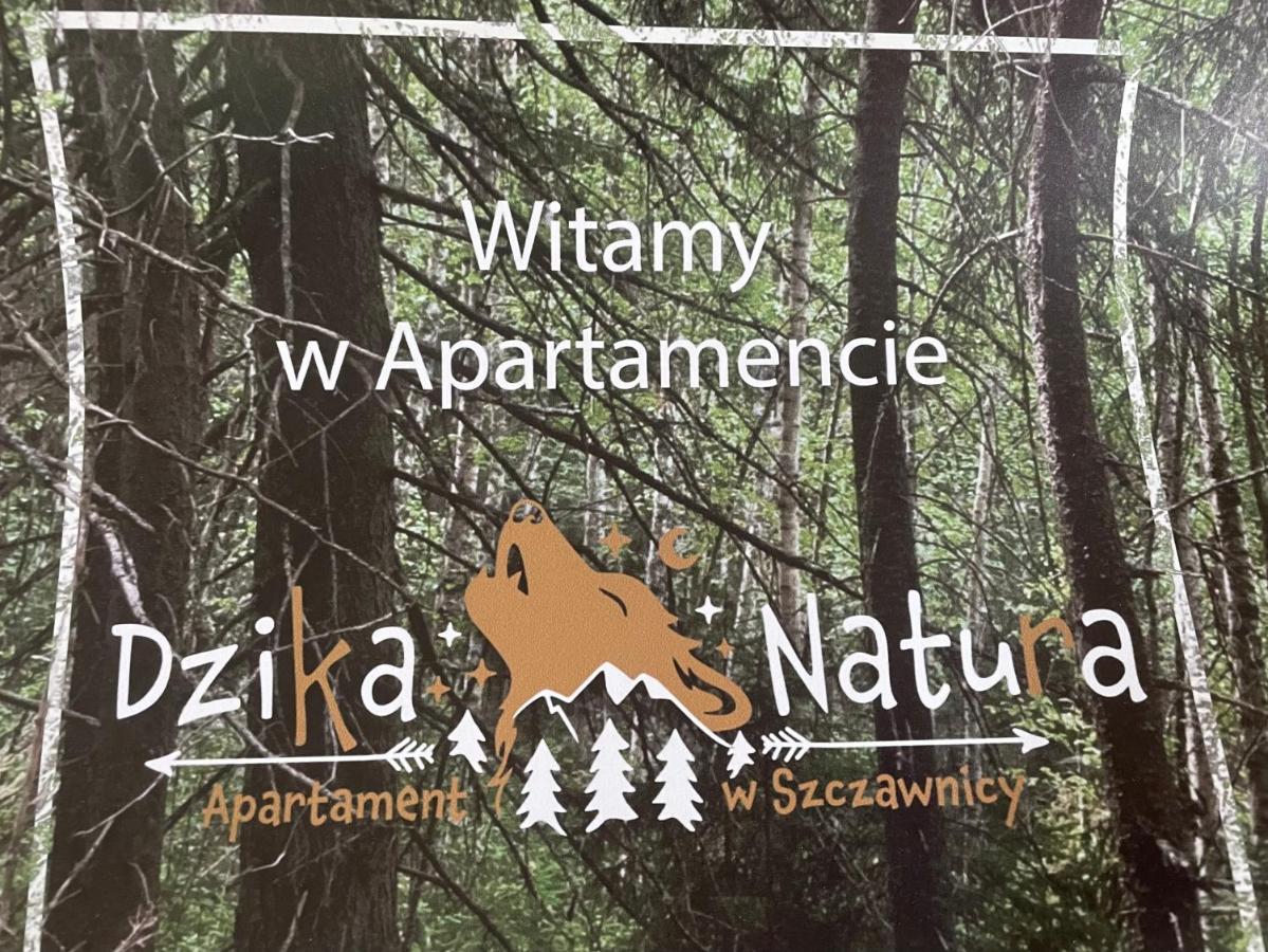 Dzika Natura Apartment *